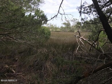 Woods