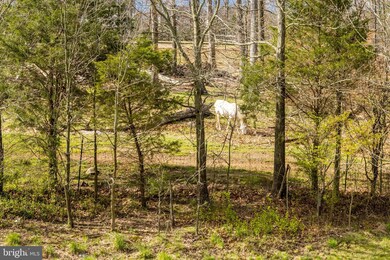 25156 Boomerang Terrace, Stone Ridge, VA 20105 - photo 2