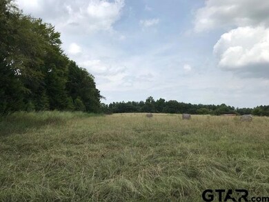 10638 County Road 210, Tyler, TX 75707 - photo 4