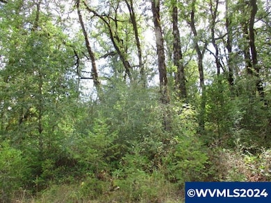 00 Bellinger Scale (2) Rd, Lebanon, OR 97355 - photo 2