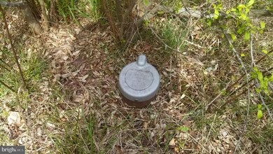 unlisted-address, Watsontown, PA 17777 - photo 4