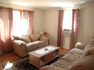 14 Midway St, Indian Orchard, MA 01151 - photo 7