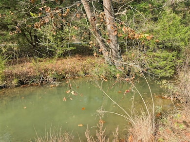 0 Club Springs Rd unit RTC3048648, Elmwood, TN 38560 - photo 7