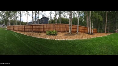 Lush Grass