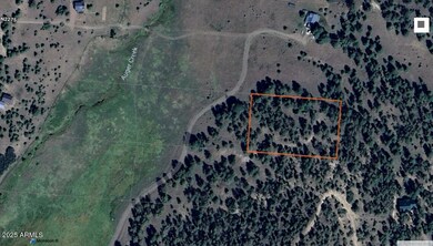 -- Country Road 2276 -- unit 2, Nutrioso, AZ 85932 - photo 3