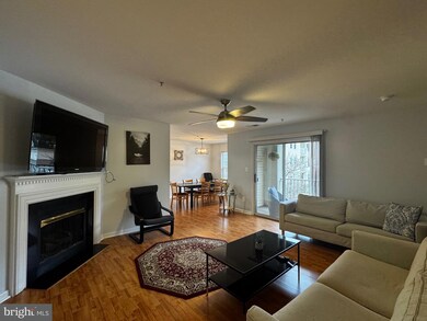 9131 Gracious End Ct unit 204, Columbia, MD 21046 - photo 4