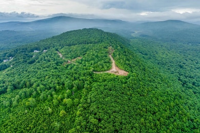 0 Long Stack Ln unit 16, Wolfeboro, NH 03894 - photo 6