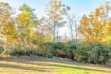 Moonlight Ln, Fancy Gap, VA 24328 - photo 5