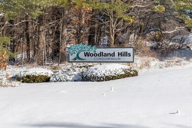 51 Woodland Hills, South Berwick, ME 03908 - photo 6