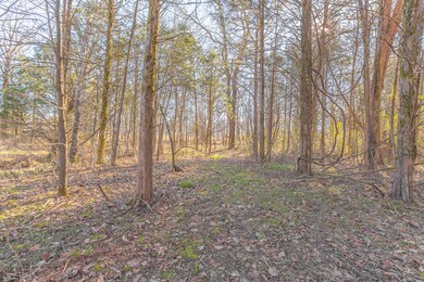 45 S Cedar Lane HD-4