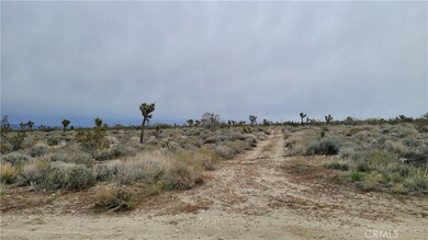 0 202nd St E & Ave X4 unit SR25047694, Llano, CA 93544 - photo 3