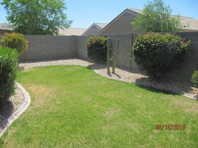 Grassy BackYard