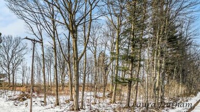 11525 Fillmore St, West Olive, MI 49460 - photo 6