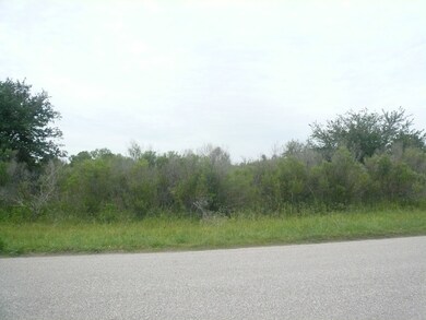 3311 Muegge Rd, Rosenberg, TX 77471 - photo 5