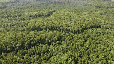 TBD Vicknair Rd, Maurepas, LA 70449 - photo 2