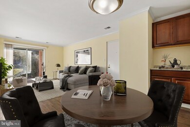 18336 Streamside Dr unit 104, Gaithersburg, MD 20879 - photo 4