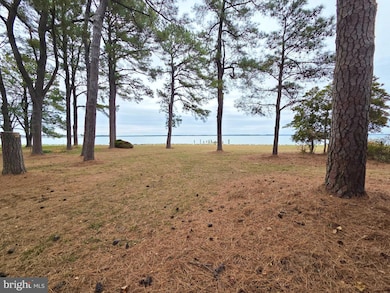 5489 Rude Ave, Tilghman, MD 21671 - photo 4