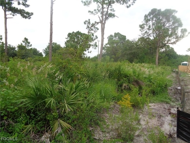 840 Naples Ave S, Lehigh Acres, FL 33974 - photo 5