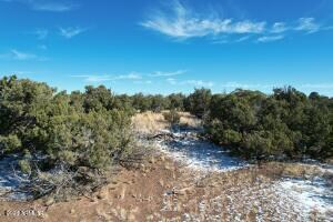 20230125192619411973000000