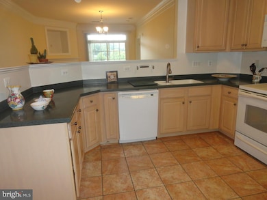 7871 Rolling Woods Ct unit 303, Springfield, VA 22152 - photo 7