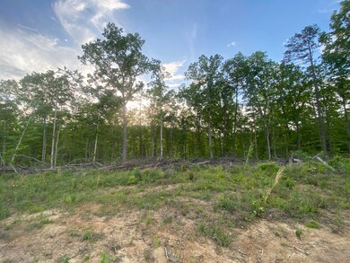 420 Mounce Rd, Somerset, KY 42501 - photo 4