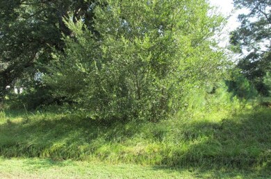 TBD Holly Ln, Huntsville, TX 77340 - photo 2