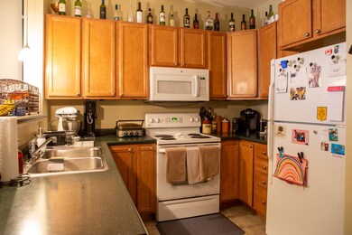 370 Farrell St unit 207, South Burlington, VT 05403 - photo 5