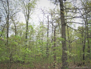 Many large trees and understory trees make great w