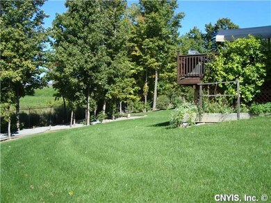 Yard/Garden
