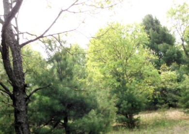 DSCN0647.JPG2