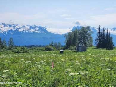 44931 Fox View Dr, Homer, AK 99603 - photo 4