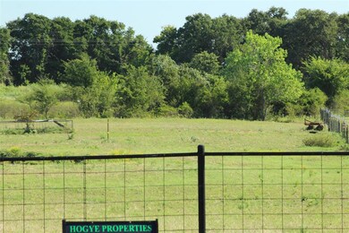 150 Park View Ct, Springtown, TX 76082 - photo 6