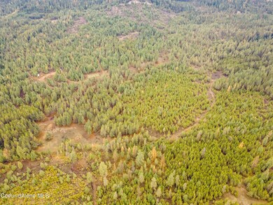 DJI_0802-HDR