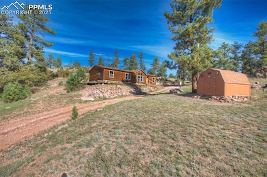 View of grassy yard featuring a shed