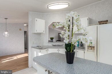 30909 Maplewood Rd, Ocean View, DE 19970 - photo 3