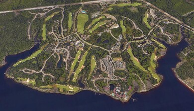 Wild Heron Common-plat