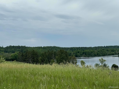 TBD New York Lake Rd, Vulcan, MI 49892 - photo 2