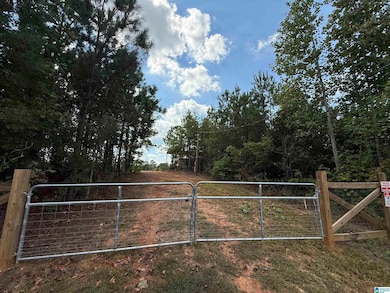 7070 Rendalia Motorway, Talladega, AL 35160 - photo 2