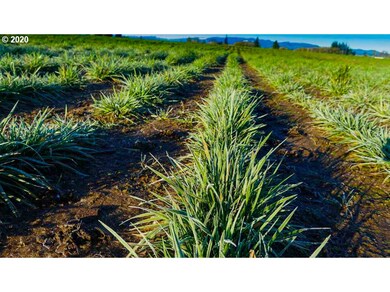 0 Highway 223 (Parcel, Dallas, OR 97338 - photo 5