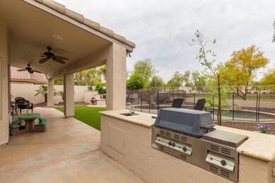 Backyard 2