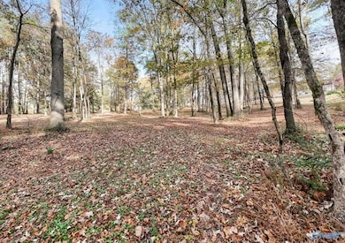 1.77 Ac Riverview Cir, Scottsboro, AL 35769 - photo 5