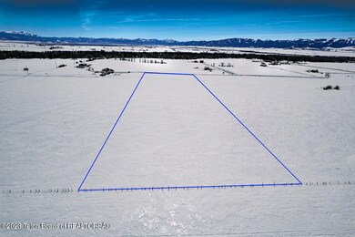 R-G Ranch Finnegan -1
