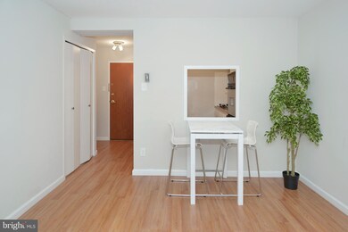Potomac Plaza Terraces unit 512, Washington, DC 20037 - photo 6