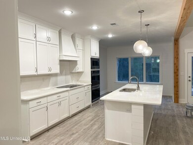 14507 Hidden Loop, Byhalia, MS 38611 - photo 4