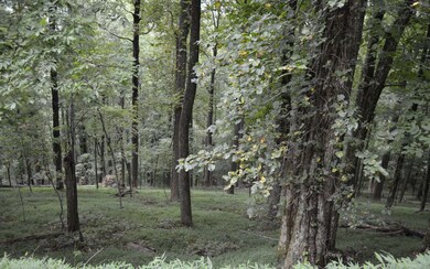 M 165 Walnut Ridge, Ellijay, GA 30540 - photo 3