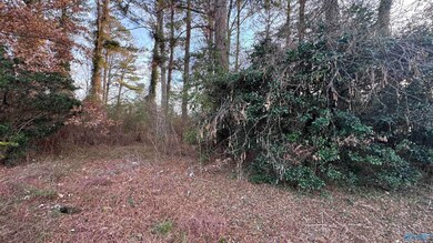 unlisted-address, Rainbow City, AL 35906 - photo 2