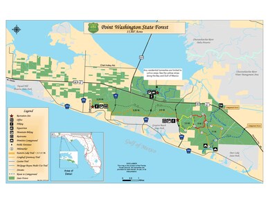 PT Washington Forest (11 × 8.5 in)