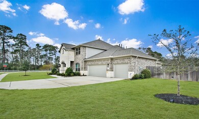 11114 Thinleaf Alder Way, Tomball, TX 77375 - photo 3