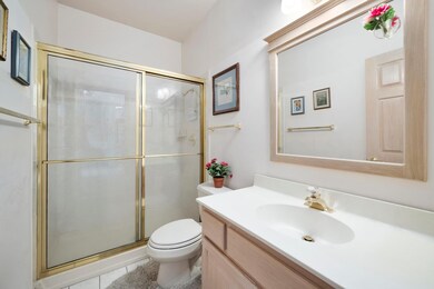 3205 Mallard Dr, Homewood, IL 60430 - photo 7