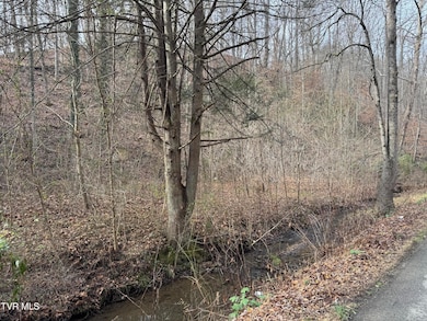 3713 Manville Rd, Gate City, VA 24251 - photo 7